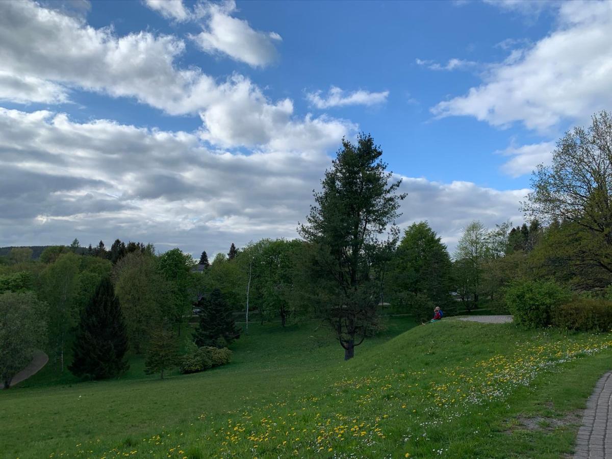 Gemuetliche Ferienwohnung Harz Braunlage Hohegeiss Εξωτερικό φωτογραφία