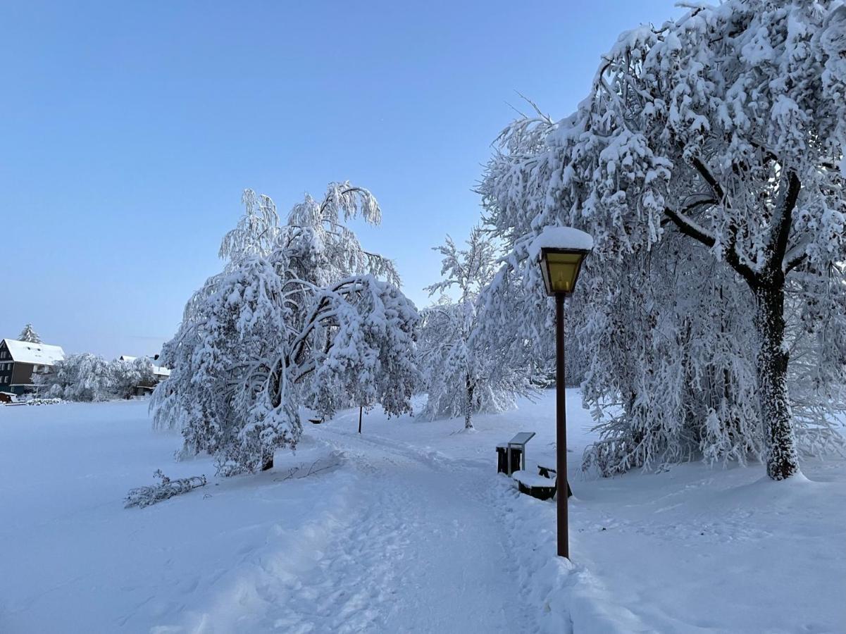 Gemuetliche Ferienwohnung Harz Braunlage Hohegeiss Εξωτερικό φωτογραφία