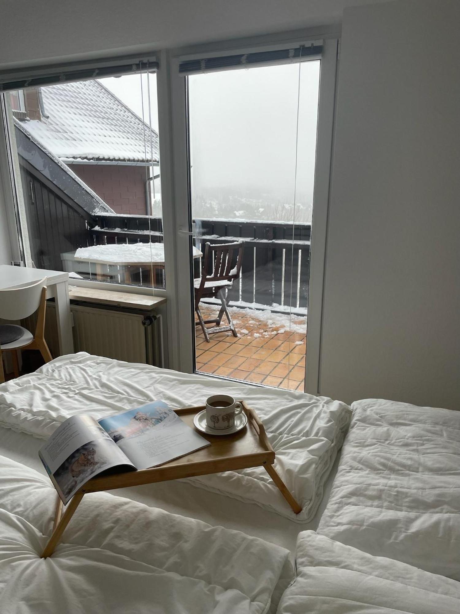 Gemuetliche Ferienwohnung Harz Braunlage Hohegeiss Εξωτερικό φωτογραφία
